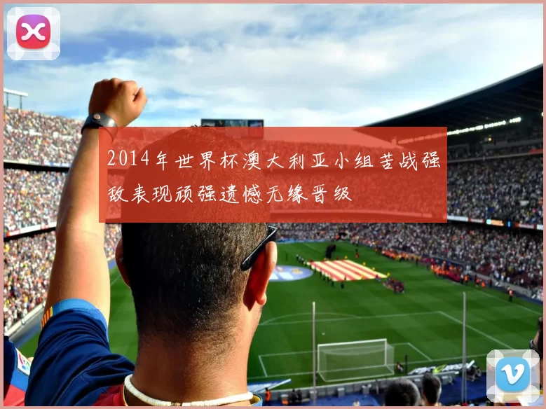 2014年世界杯澳大利亚小组苦战强敌表现顽强遗憾无缘晋级