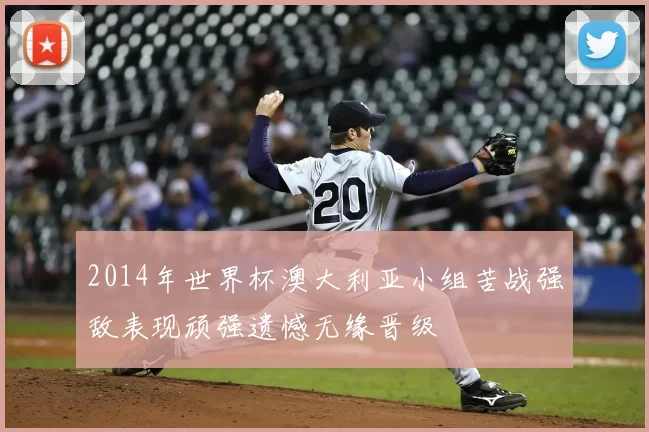 2014年世界杯澳大利亚小组苦战强敌表现顽强遗憾无缘晋级