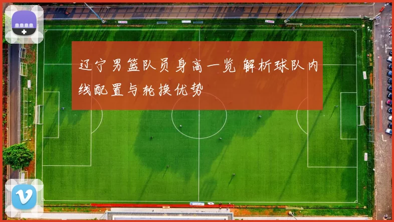 辽宁男篮队员身高一览 解析球队内线配置与轮换优势